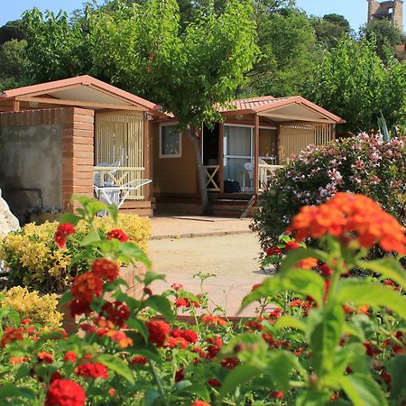Camping Roca Grossa Calella Bagian luar foto