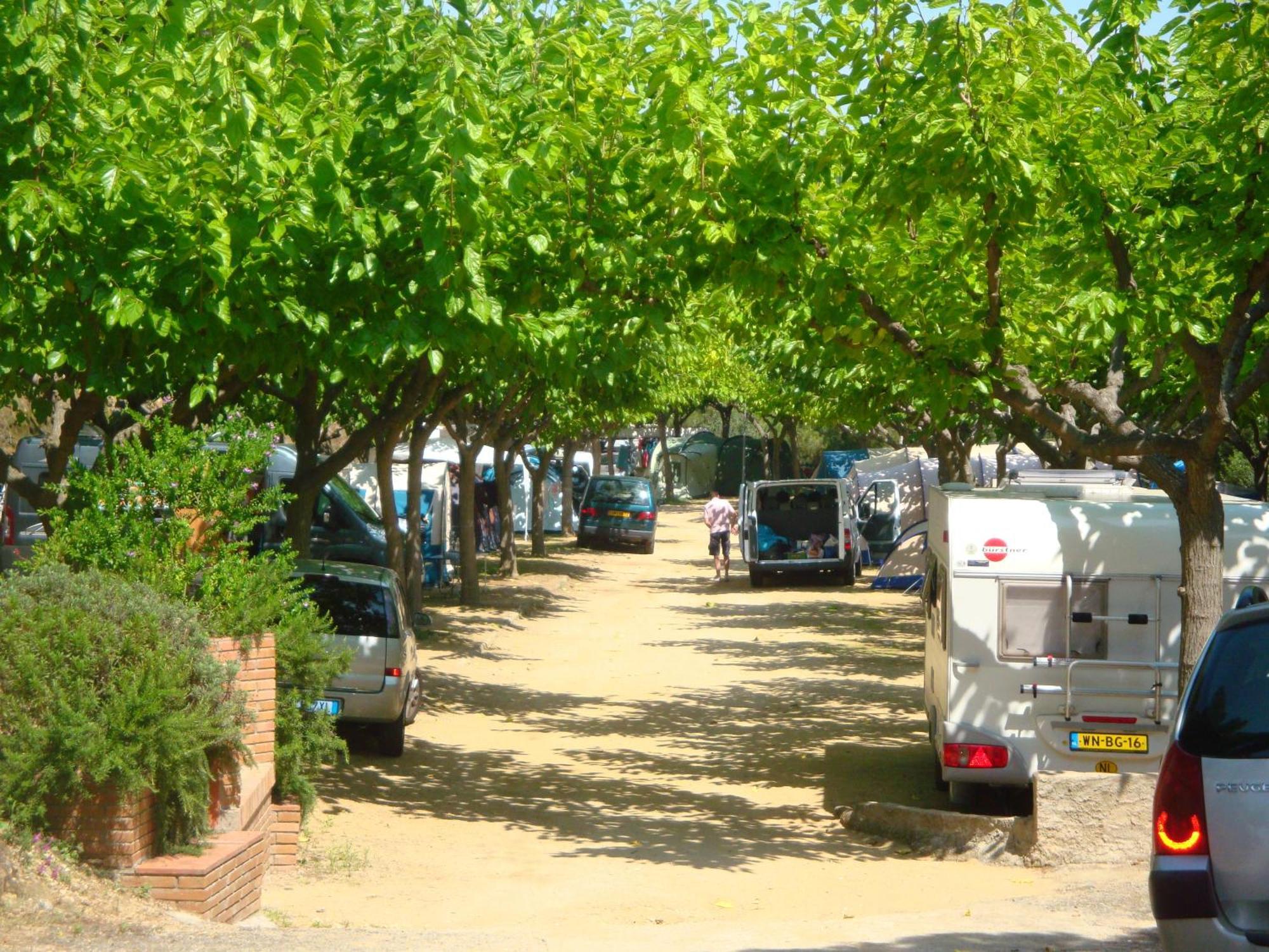 Camping Roca Grossa Calella Bagian luar foto