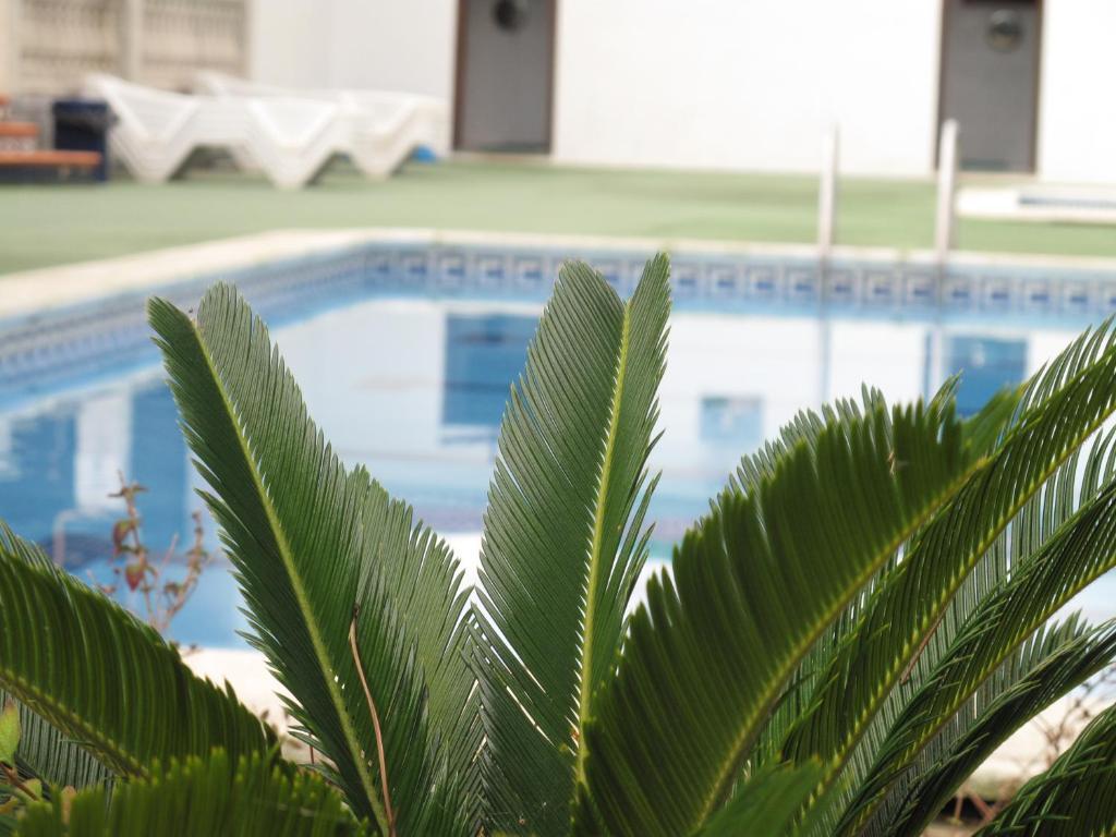 Camping Roca Grossa Calella Bagian luar foto