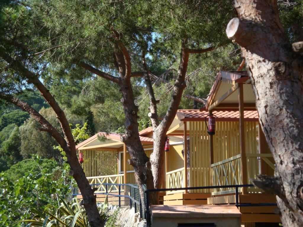 Camping Roca Grossa Calella Bagian luar foto